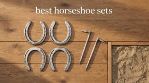 best horseshoe sets