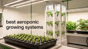 best aeroponic growing systems