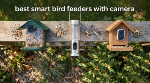 best smart bird feeders with camera