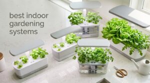 best indoor gardening systems