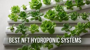 best nft hydroponic systems