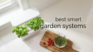 best smart garden systems