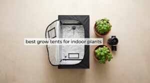 best grow tents for indoor plants