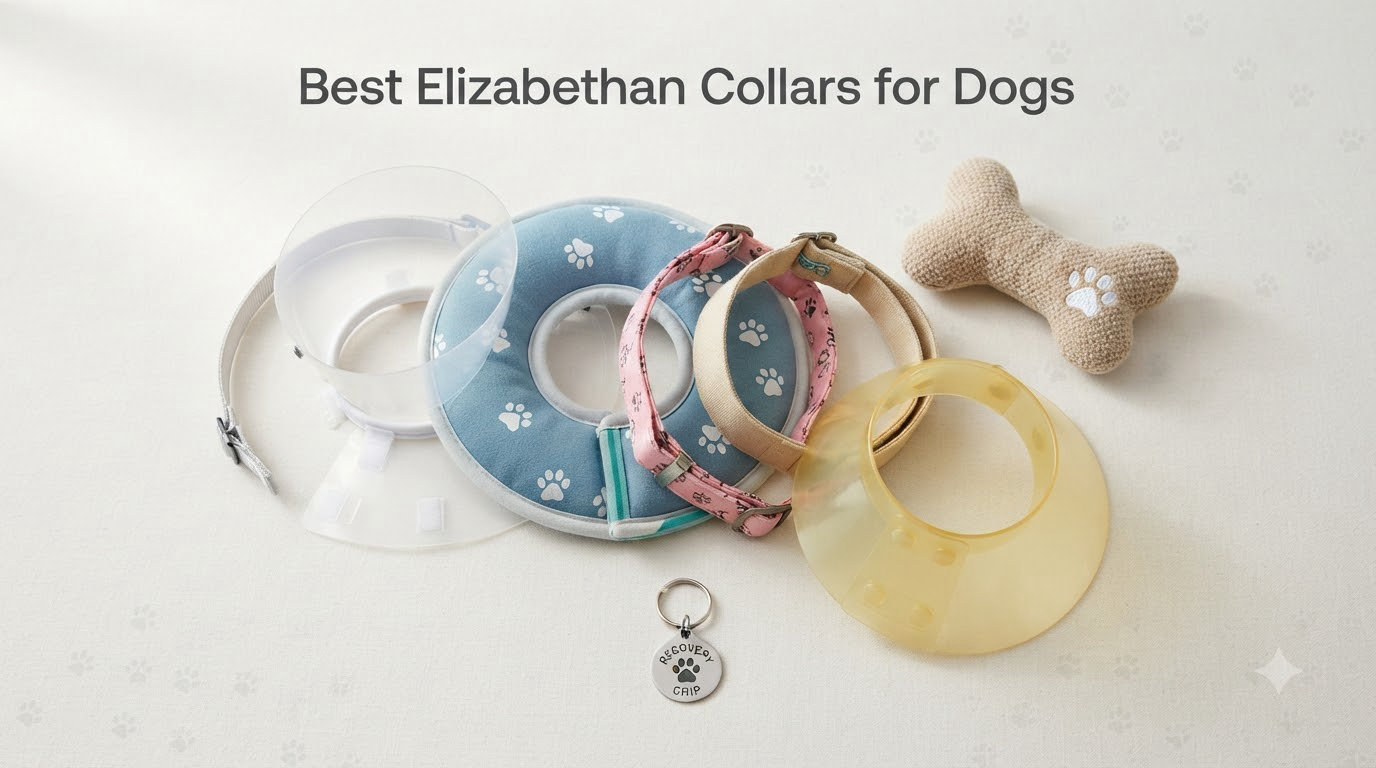 Best Elizabethan Collars for Dogs