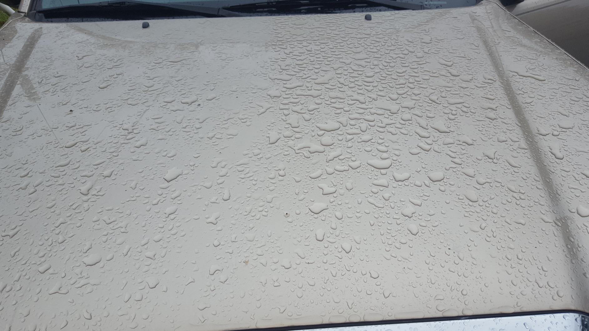 STAR BRITE Premium Marine Polish, Maximum UV Protection & High Gloss Finish customer photo 2