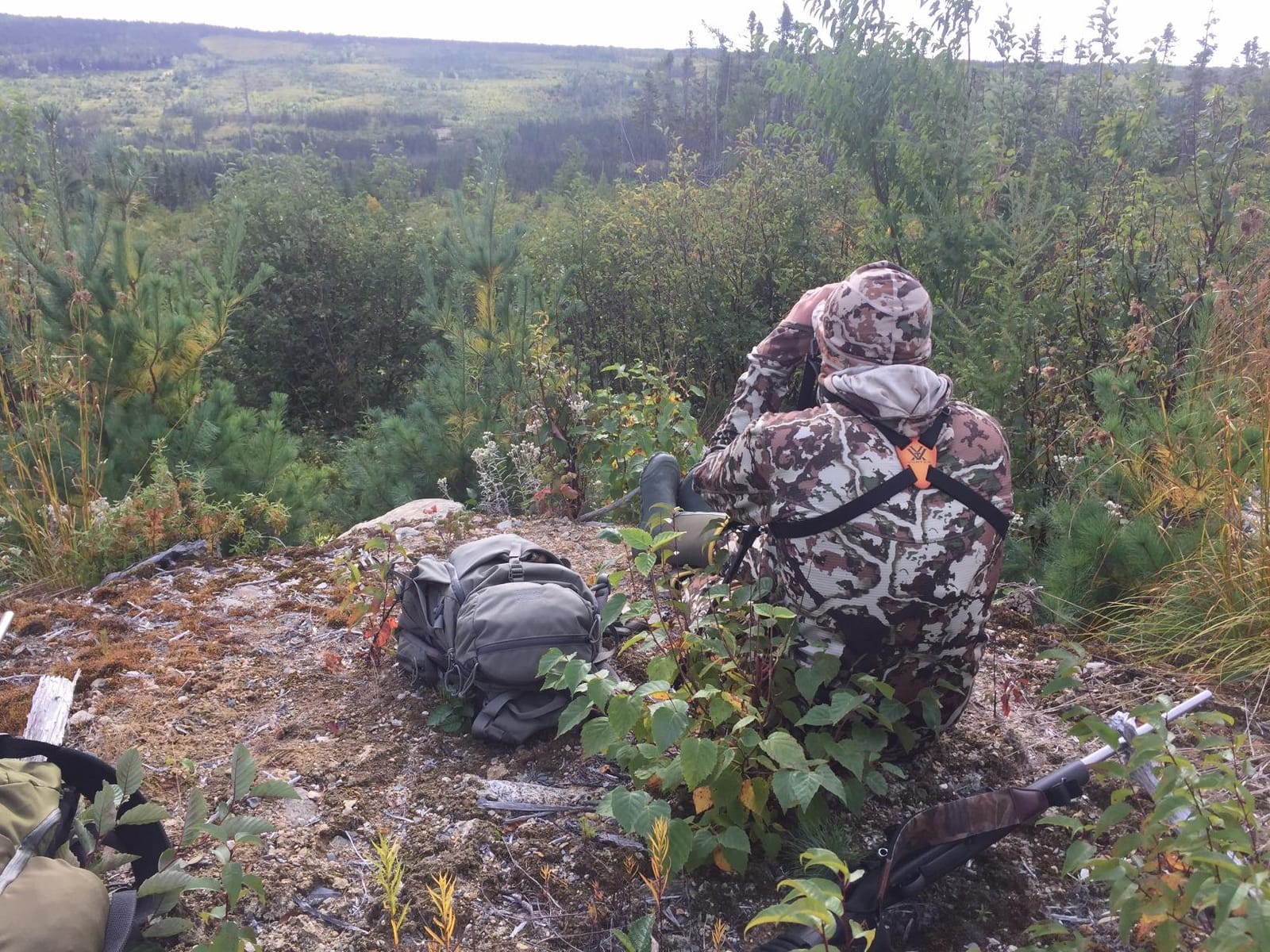 Vortex Binocular Harness Strap customer photo 1
