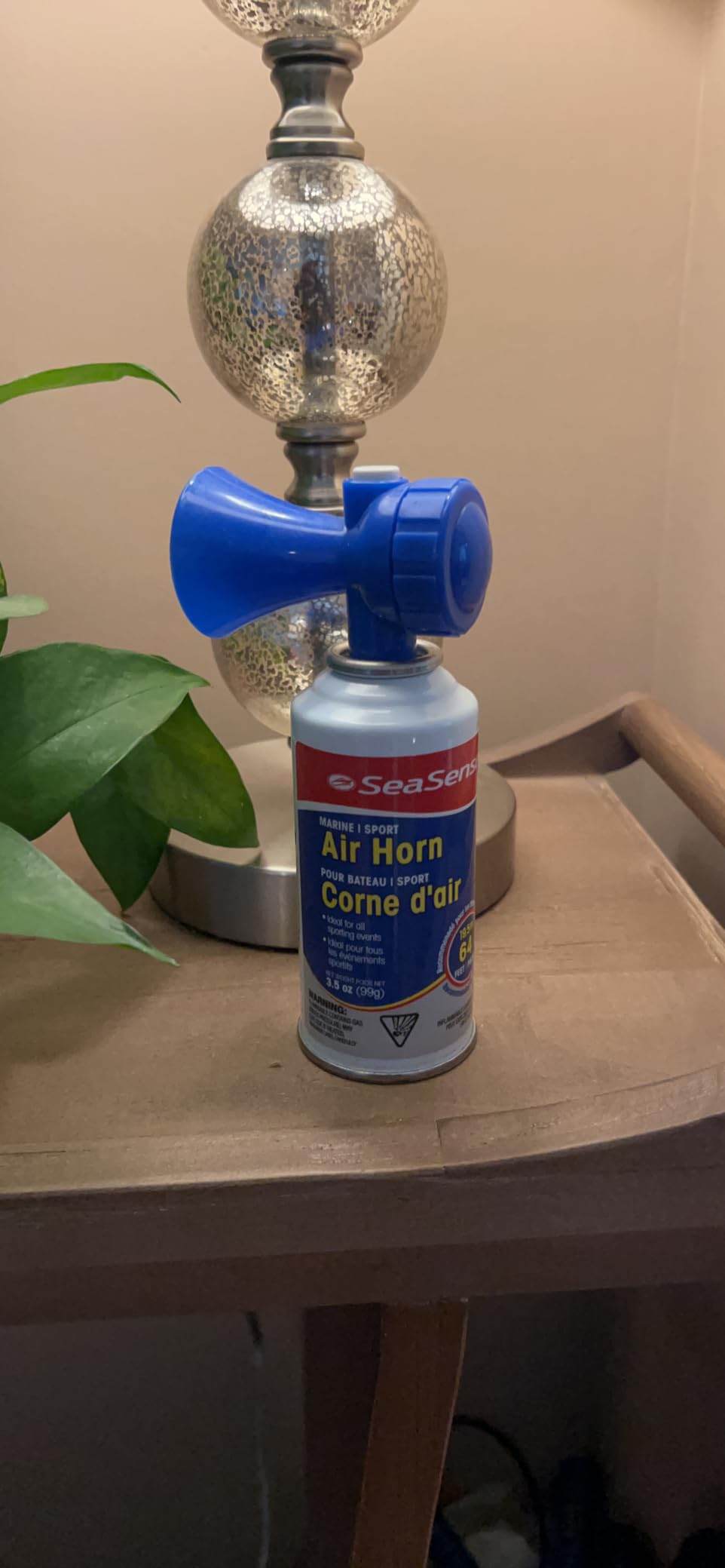 SeaSense Air Horn – Large Size (3.5 oz), 118 dB – Loud 1 Mile Range, Meets EPA & USCG Standards – Great for Boat & Marine Safety, Ideal for Sporting Events Such as Football & Soccer customer photo 1