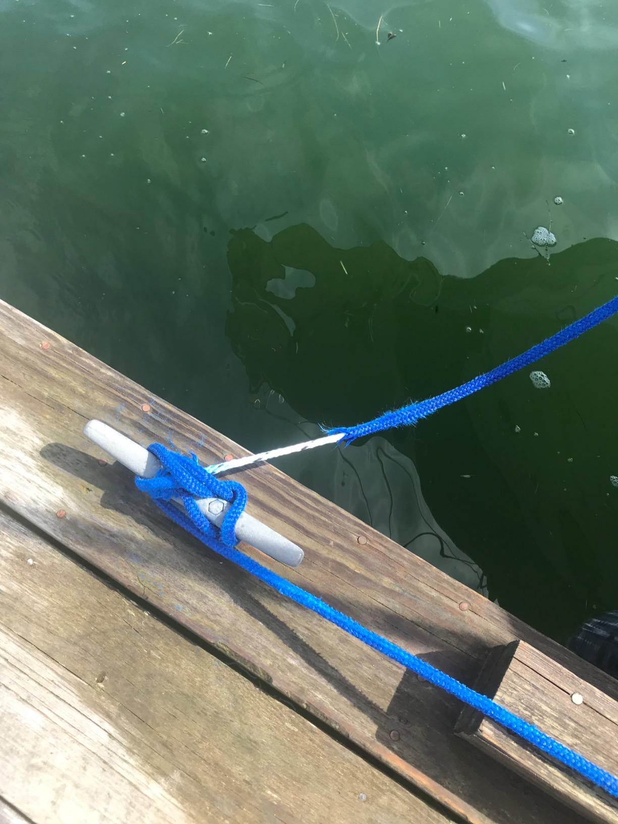 SeaSense Double Braid Nylon Dockline customer photo 1