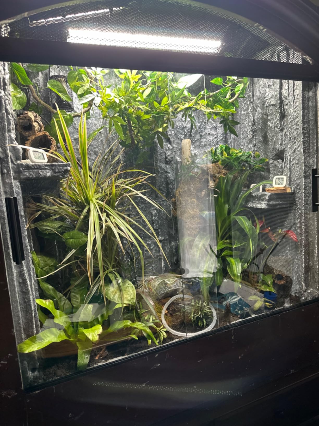 Arcadia Jungle Dawn LED Bars (34W) - 22.5