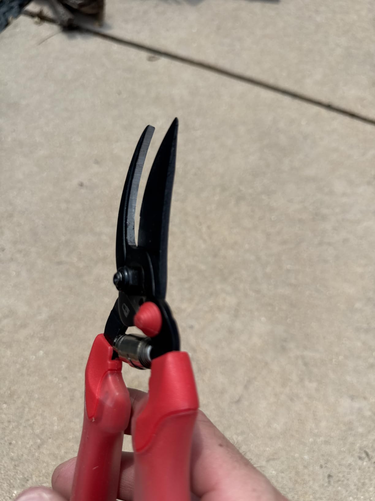 Corona BP 3214D ComfortGEL Bypass Hand Pruner, 3/4-inch cut , Red customer photo 1