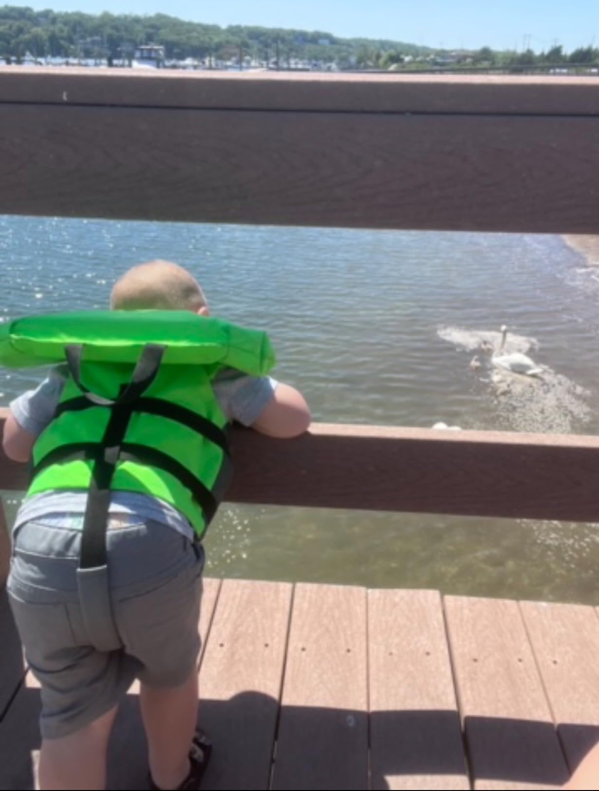 Stearns Child Life Jacket with Heads-Up Flotation, USCG Approved Type II Kids Life Vest for Pool, Beach, Lake, Boating & More, Youth PFD customer photo 2