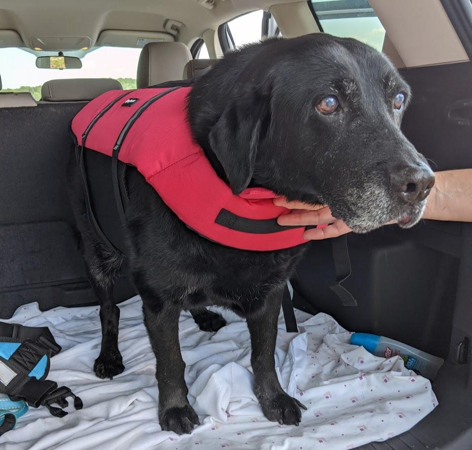 ZippyPaws Adventure Dog Life Jacket - Dog Life Vest for Swimming & Boating customer photo 1