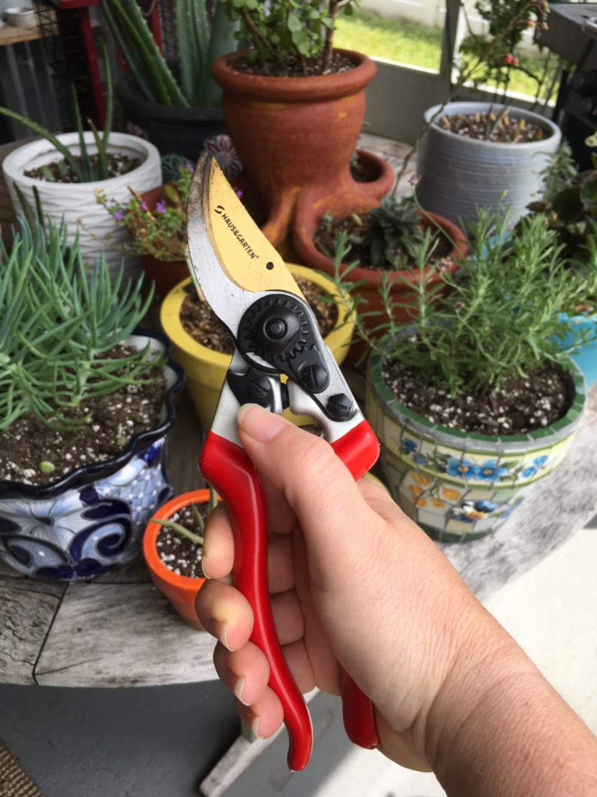 Haus & Garten EnduroPRO Ergonomic Bypass Pruners - Professional Titanium Garden Shears - Heavy Duty Hand Pruning Scissor, Tree Trimmer, Gardening Tool, Branch, Hedge, Rose, Shrub & Bush Clippers customer photo 1
