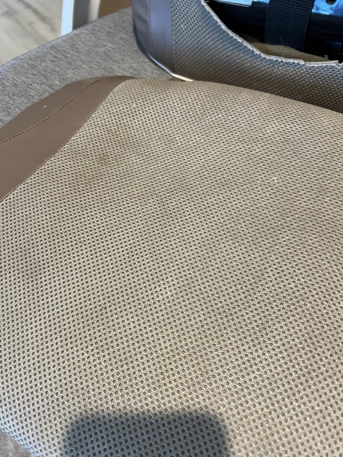 Homedics Shiatsu Back Massager Cushion with Heat, Deep Kneading Massage customer photo 1