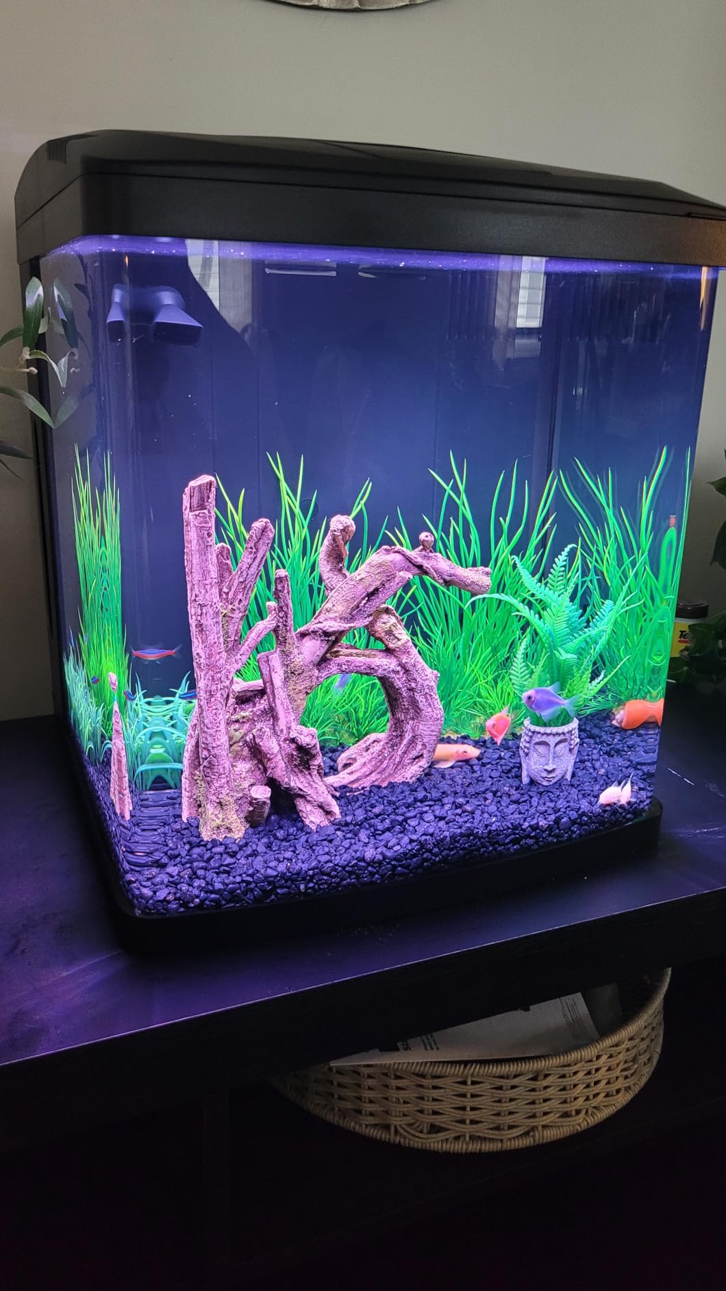 Coralife LED Biocube Aquarium Starter Kit, 16 Gallon Tank for Beginners customer photo 1