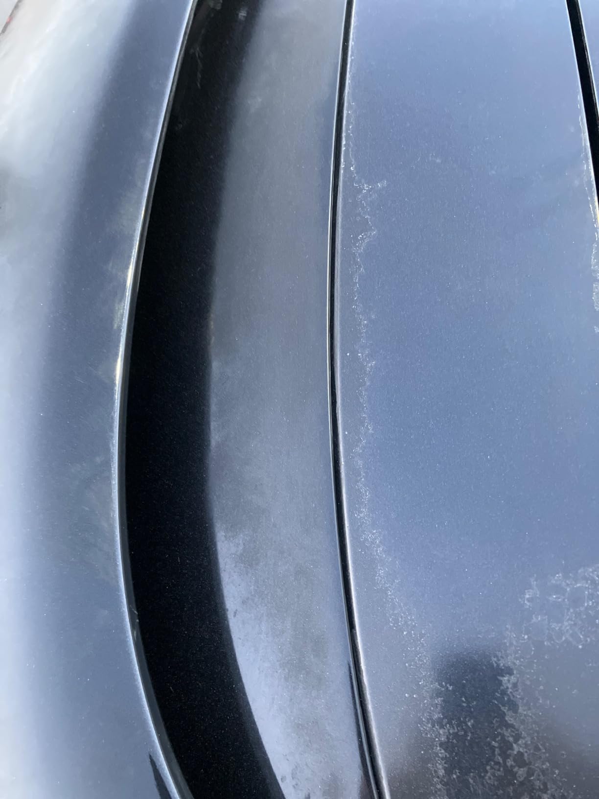 Turtle Wax 52708 Color Magic Car Paintwork Polish Restores Colour & Shine Black 500ml customer photo 2