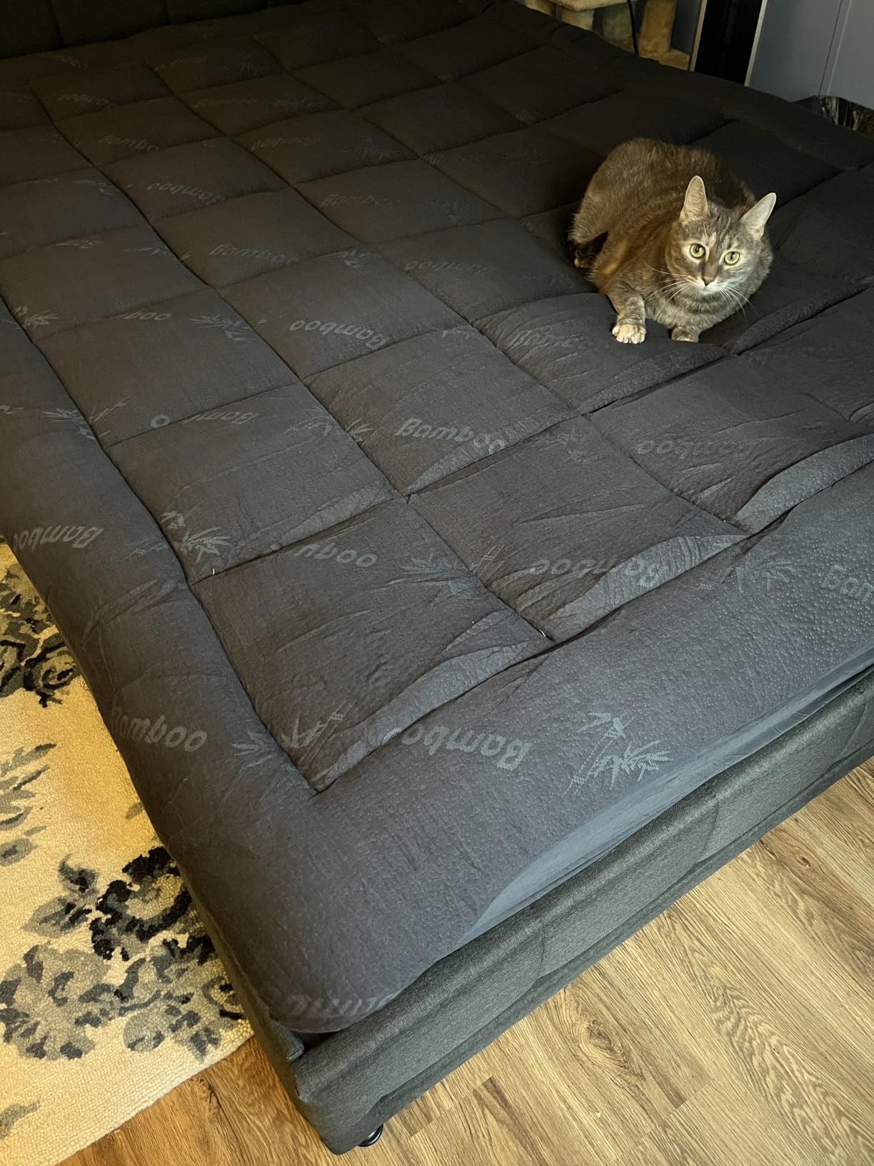 Niagara Sleep Solution Queen customer photo 2