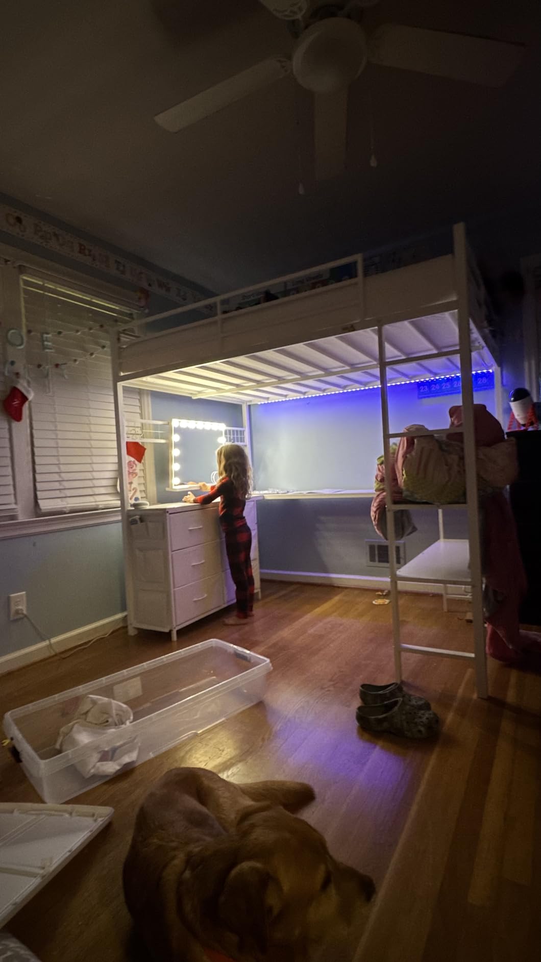 Hansong Vanity Mirror with Lights: Hollywood Lighted Makeup Mirror with 15 LED Bulbs, 22.8''x18'' Light Up Mirror with 3 Colors Modes for Desk, Large Mirrors with USB Charging Port for Bedroom, White customer photo 1