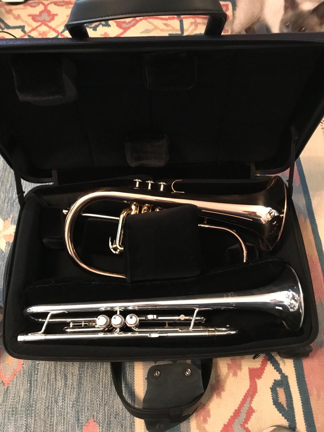 Protec Micro ZIP Triple Trumpet Case with Wheels, Blue, Model BLT301TBX customer photo 1