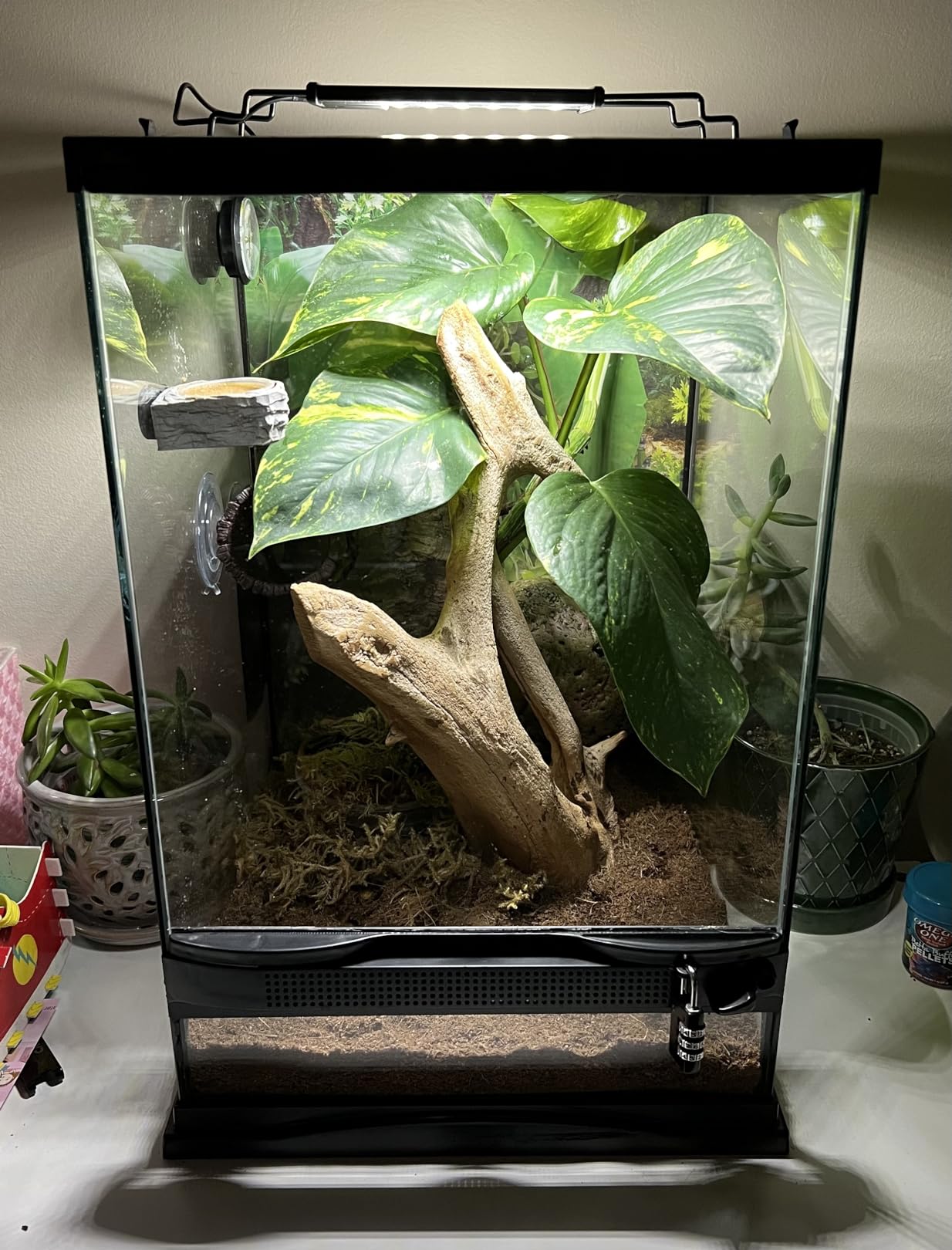 REPTI ZOO Terrarium Light - Day and Night Mode Reptile LED Light Hood with White and Blue Light for Different Pet Habits customer photo 1