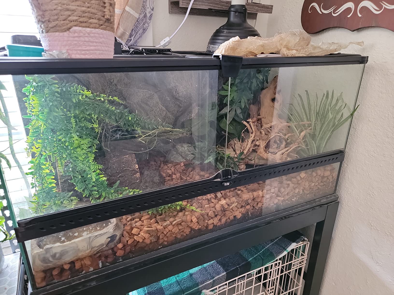 REPTI ZOO Terrarium Light - Day and Night Mode Reptile LED Light Hood with White and Blue Light for Different Pet Habits customer photo 2