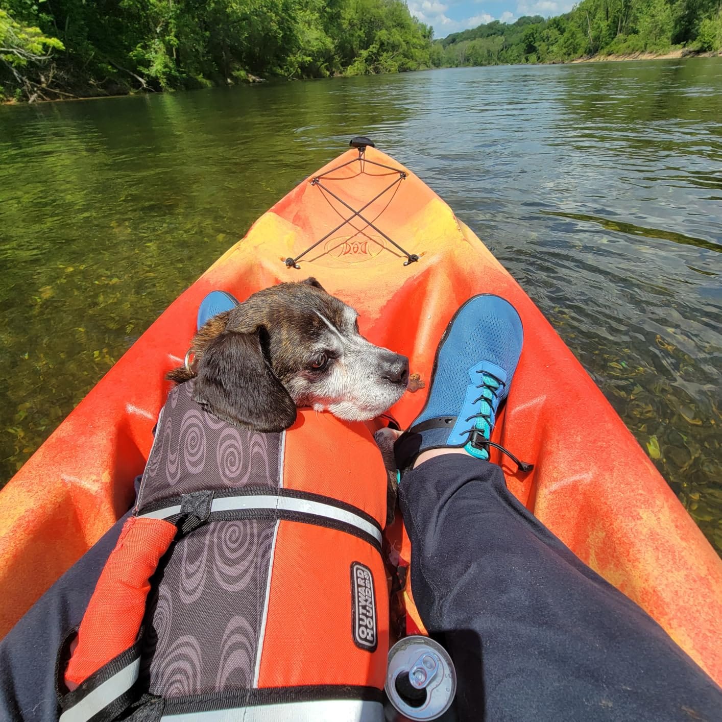 Perception Tribe 11.5 | Sit on Top Kayak for All-Around Fun | Large Rear Storage with Tie Downs customer photo 2