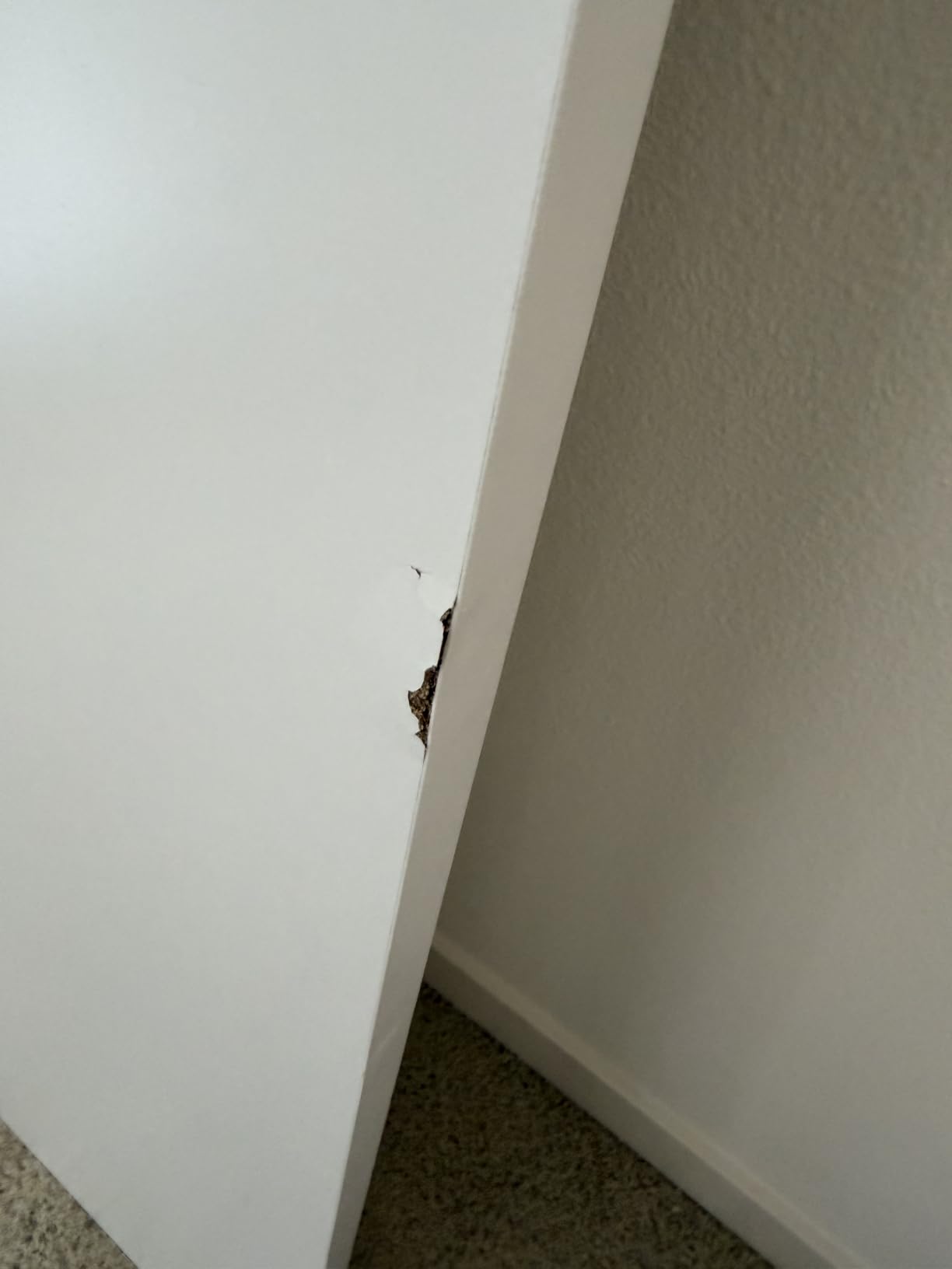 FLEXISPOT EN2 55x28 customer photo 2