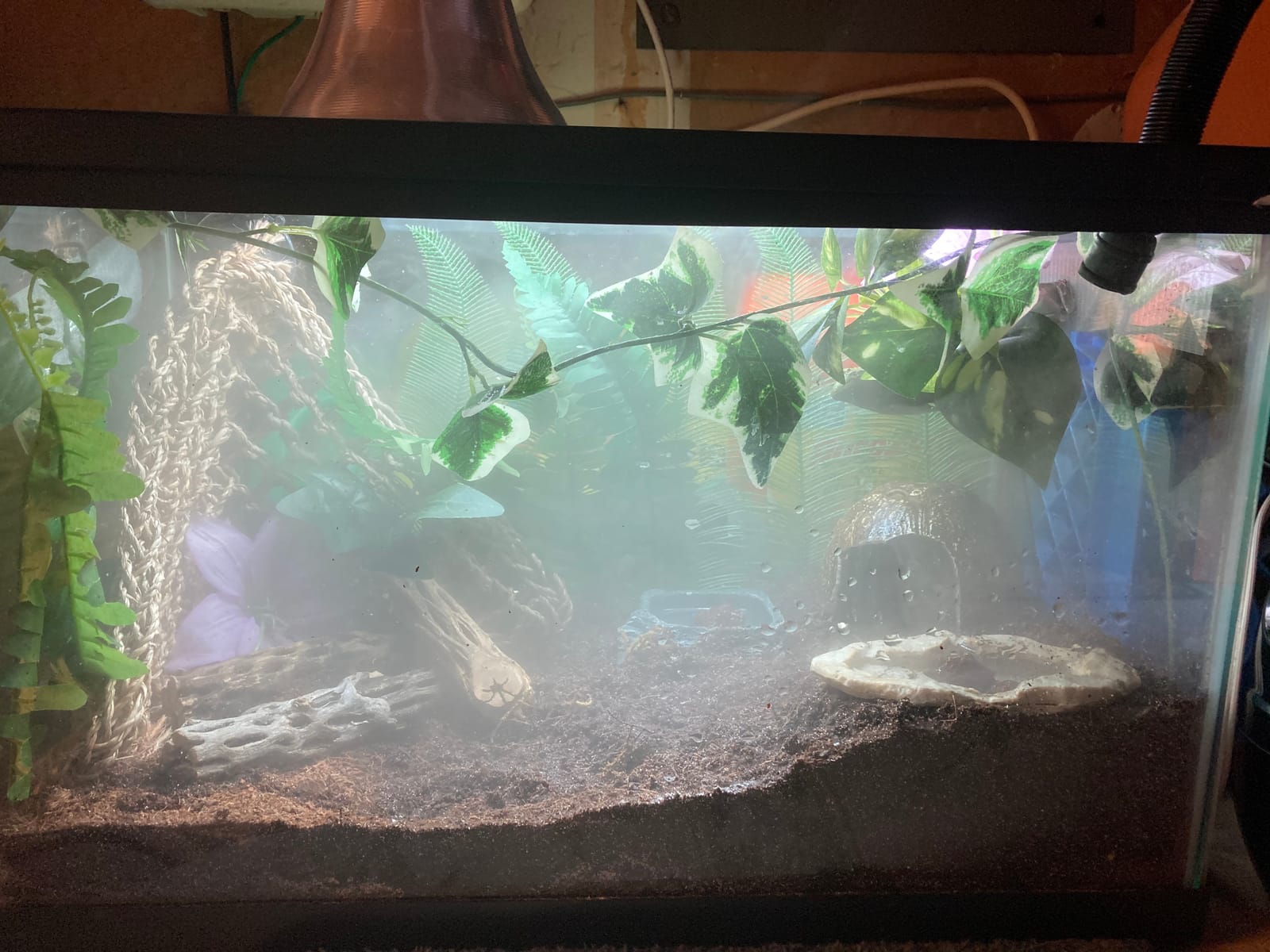 REPTI ZOO Reptile Aquarium Terrarium LED Light Ultra-thin Day and Night Light for Reptiles Aquarium Light, 3-Color Modes LED Light Hood 15W for 18 inch or Larger Terrariums for Reptile Plant Fish Tank customer photo 2