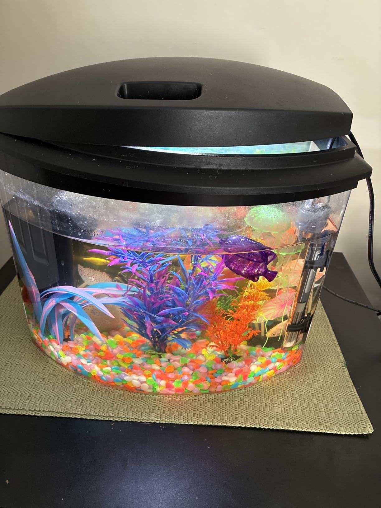 Aqueon LED MiniBow Small Aquarium Fish Tank Kit with SmartClean Technology, Blue, 1 Gallon customer photo 2