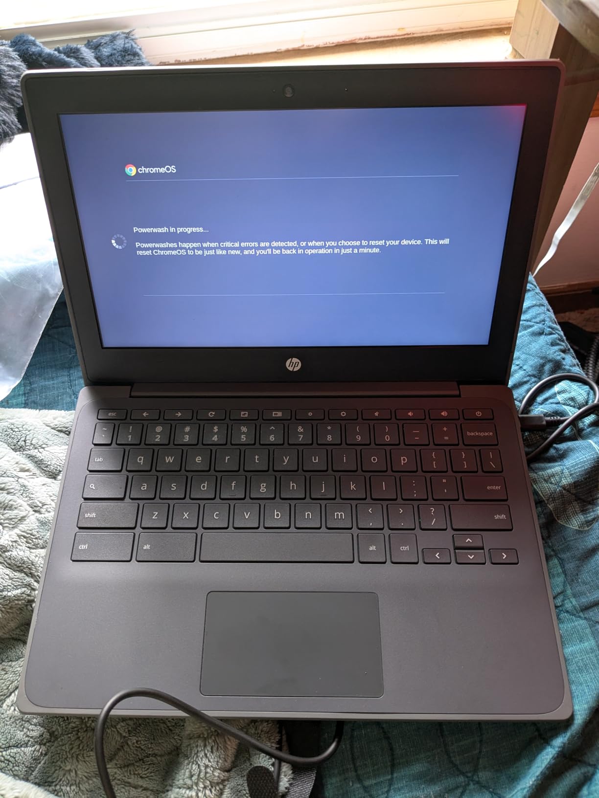 HP Chromebook 11A G8 customer photo 1