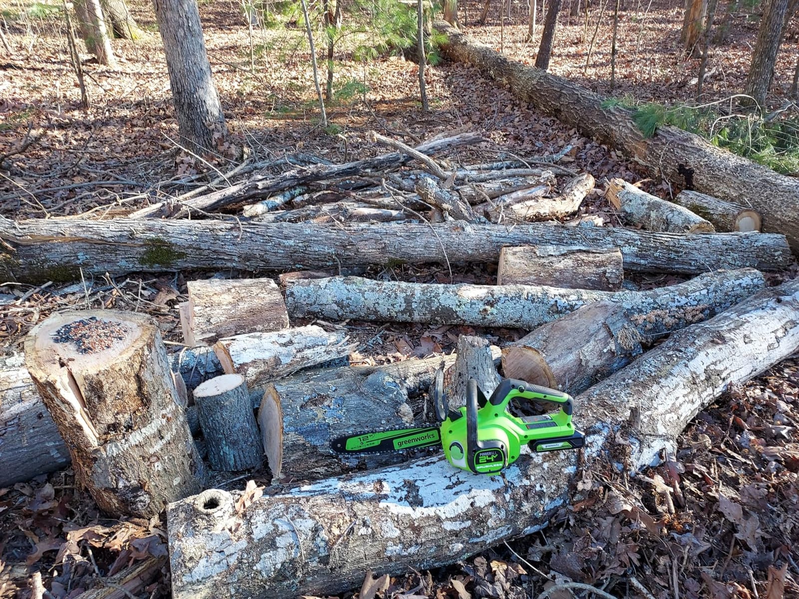 Greenworks 24V 12