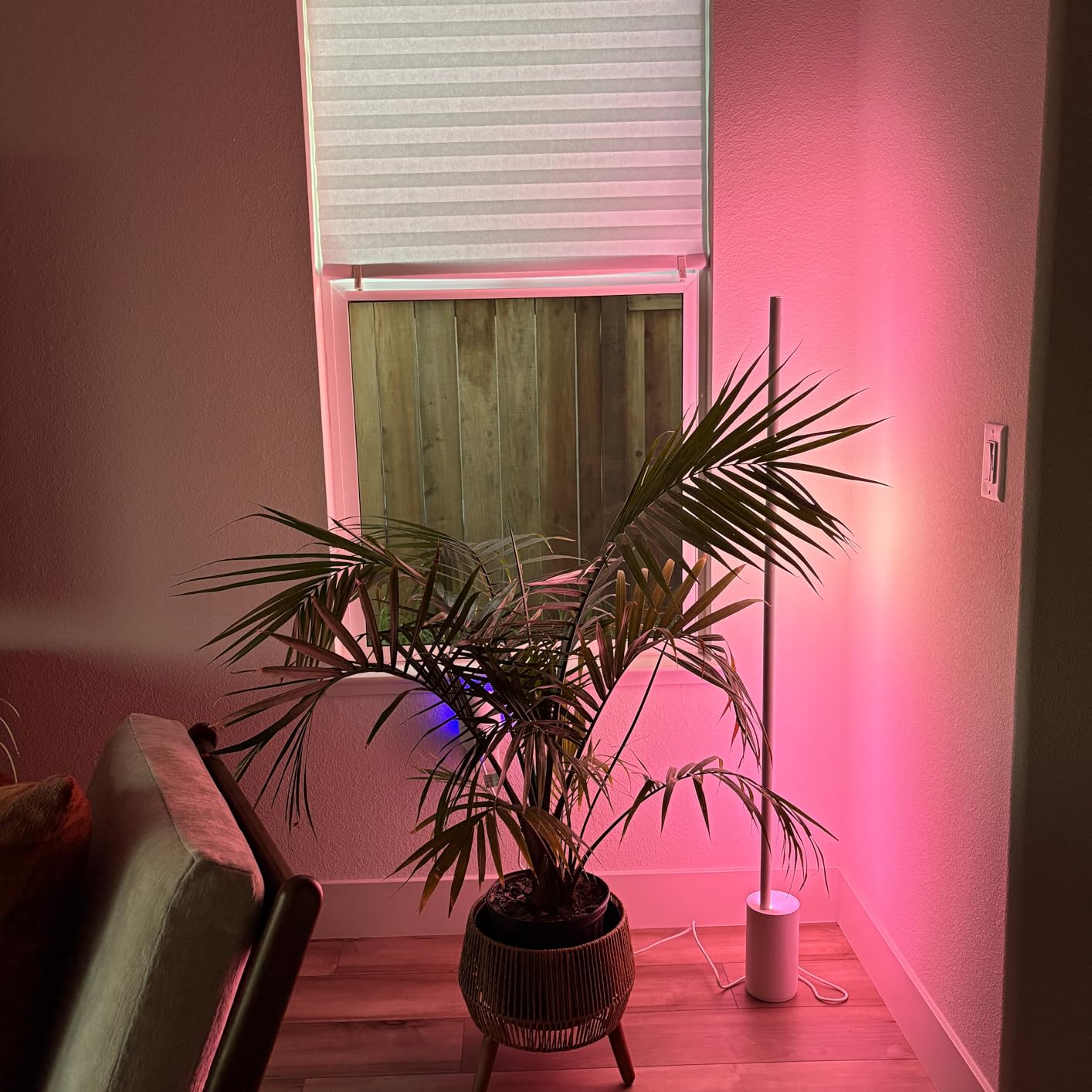 Philips Hue Signe Smart Color Changing Floor Lamp, 1-Pack, Black customer photo 1