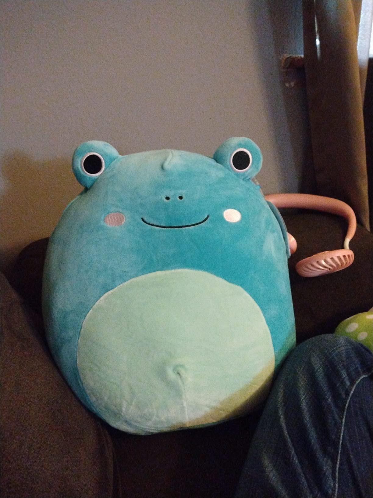 Squishmallows Original 12-Inch Ludwig Teal Frog with Mint Green Belly - Medium-Sized Ultrasoft Official Jazwares Plush customer photo 1