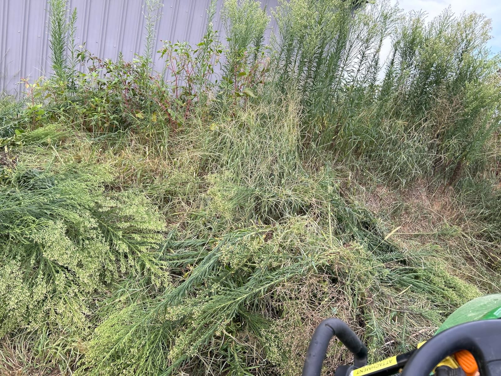 8 Inch Brushcutter Attachment customer photo 1