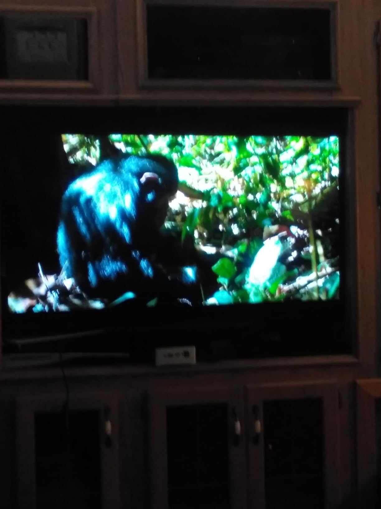 Sony Bravia A90K 48 customer photo 2