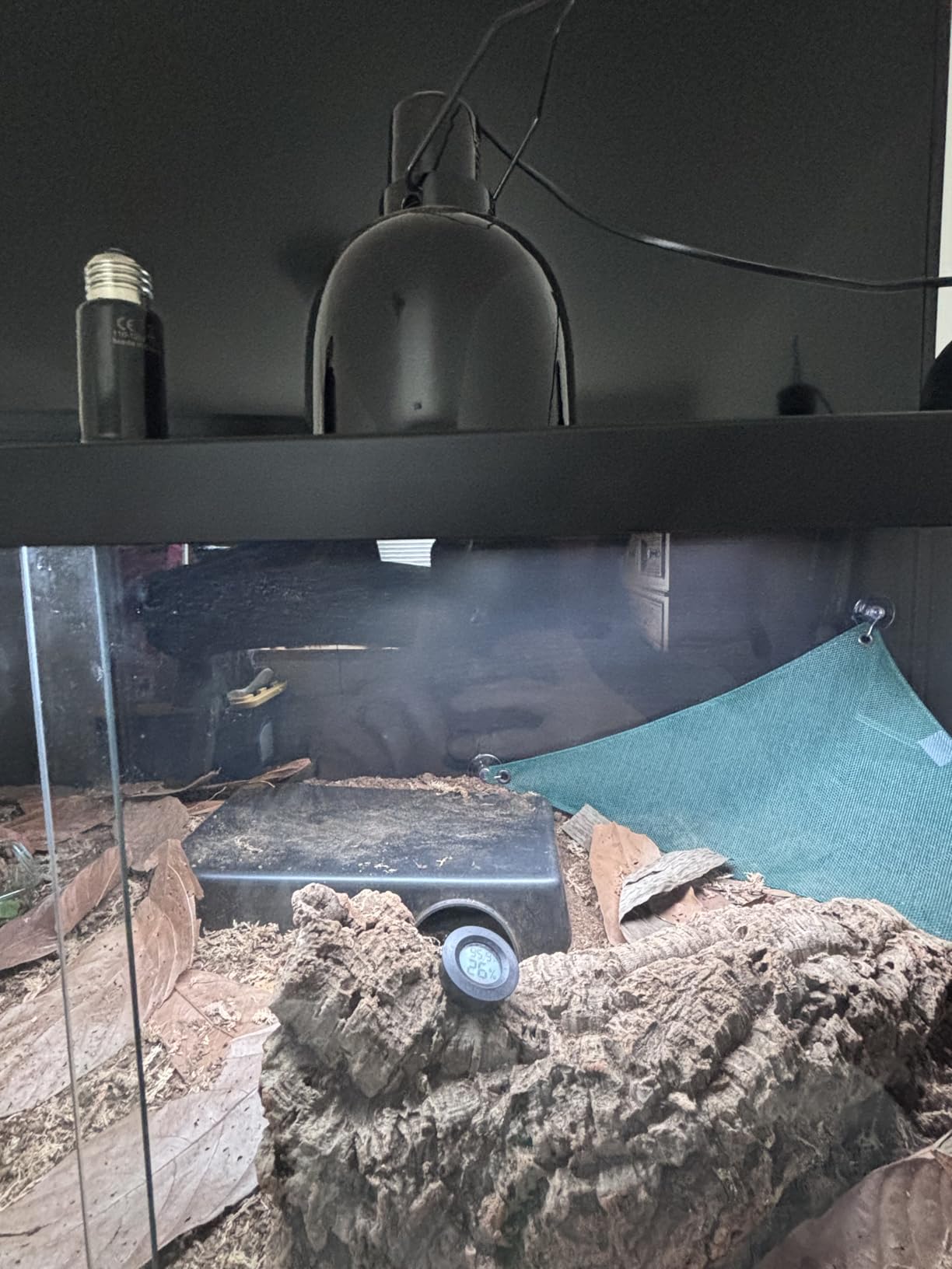 Fluker's Deep Thermal Heat Lamp for Reptiles with Carbon Infrared Technology, for All Reptile Tanks, Great for Basking, 100 Watt customer photo 1