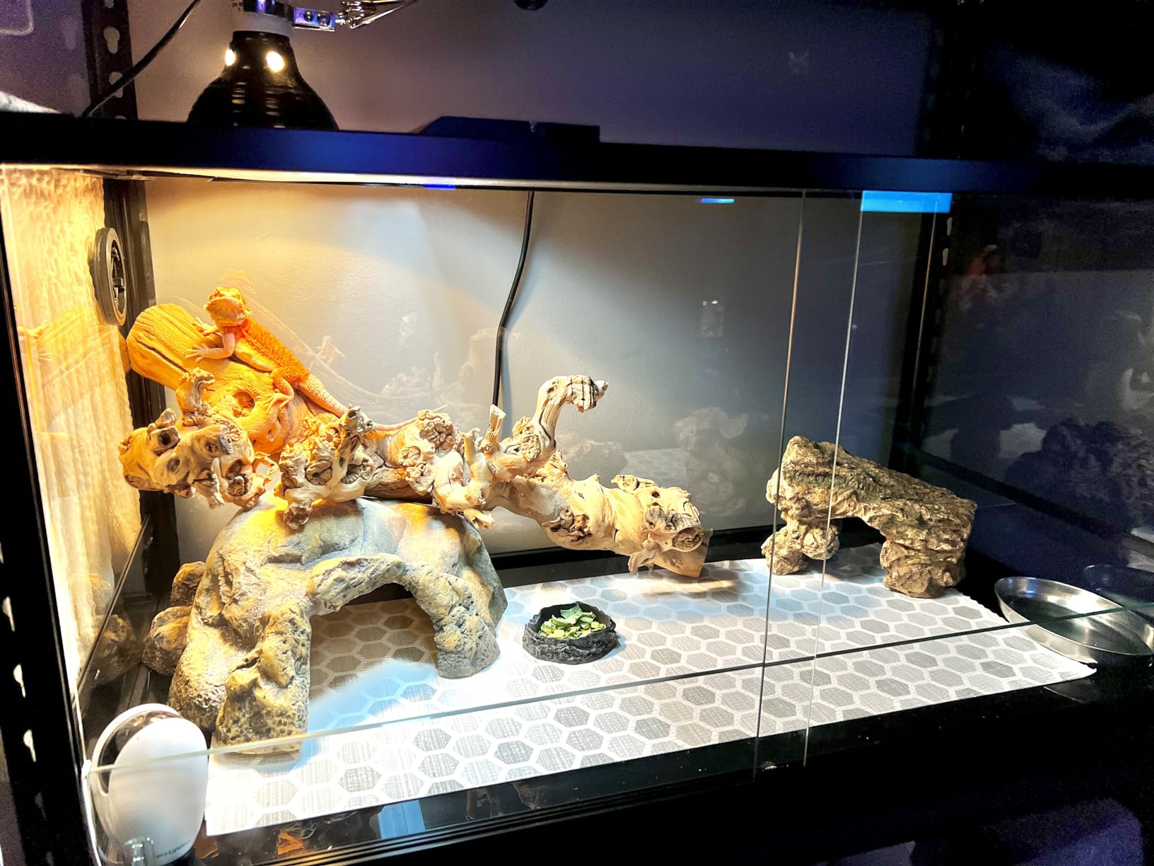 Double Stacked Reptile Tank, 24
