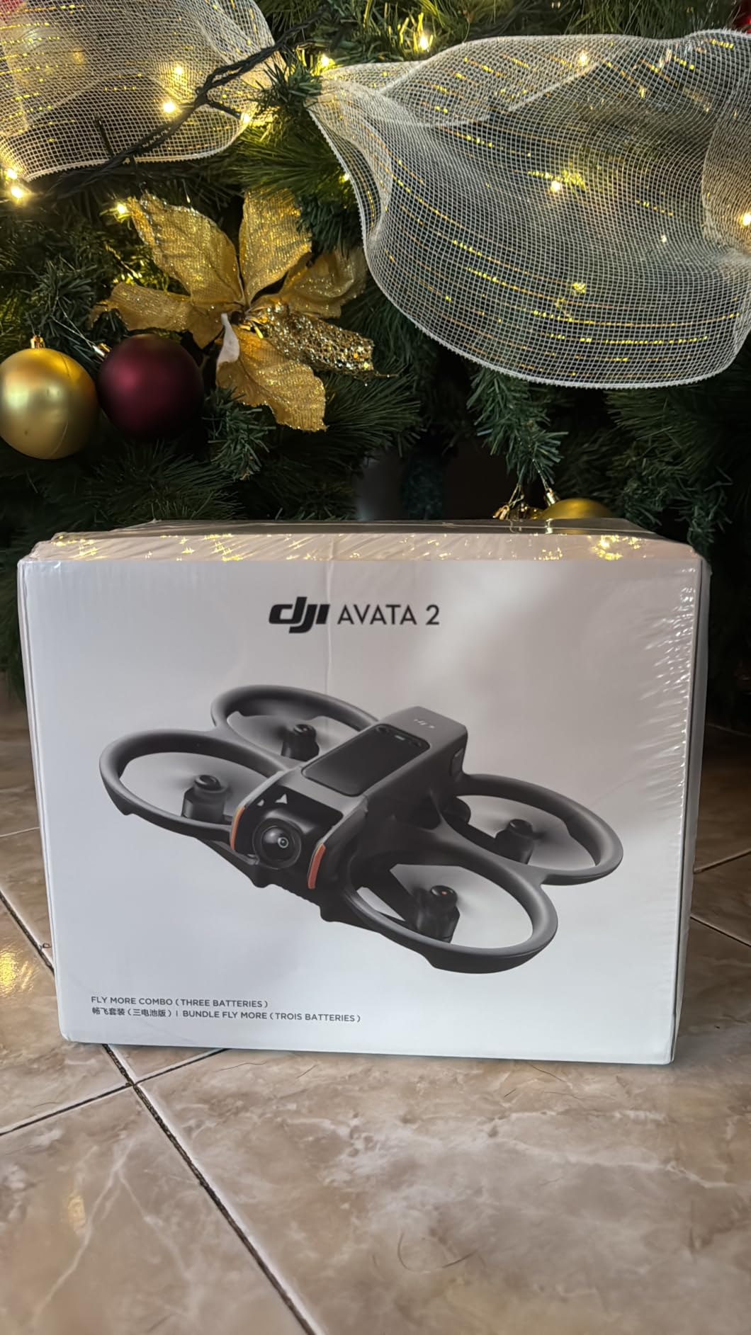 DJI Avata 2 customer photo 1