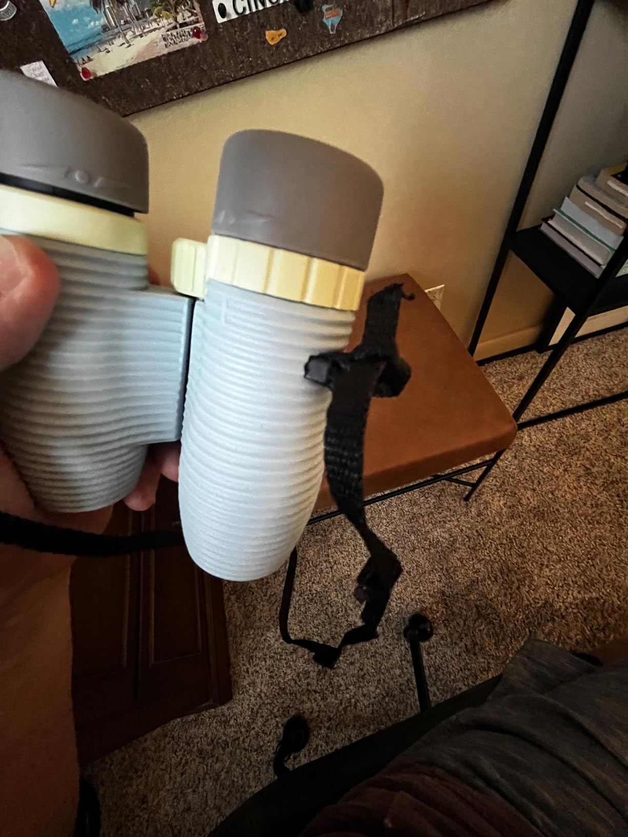 Nocs Provisions Standard Issue 10x25 Binoculars, Waterproof, Bird Watching customer photo 1