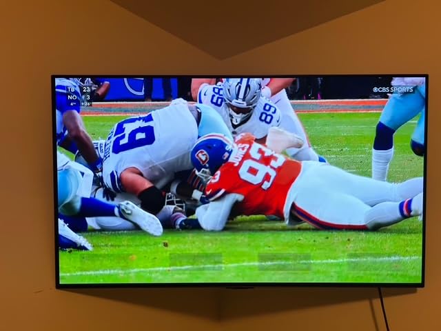 LG C4 55 OLED customer photo 1