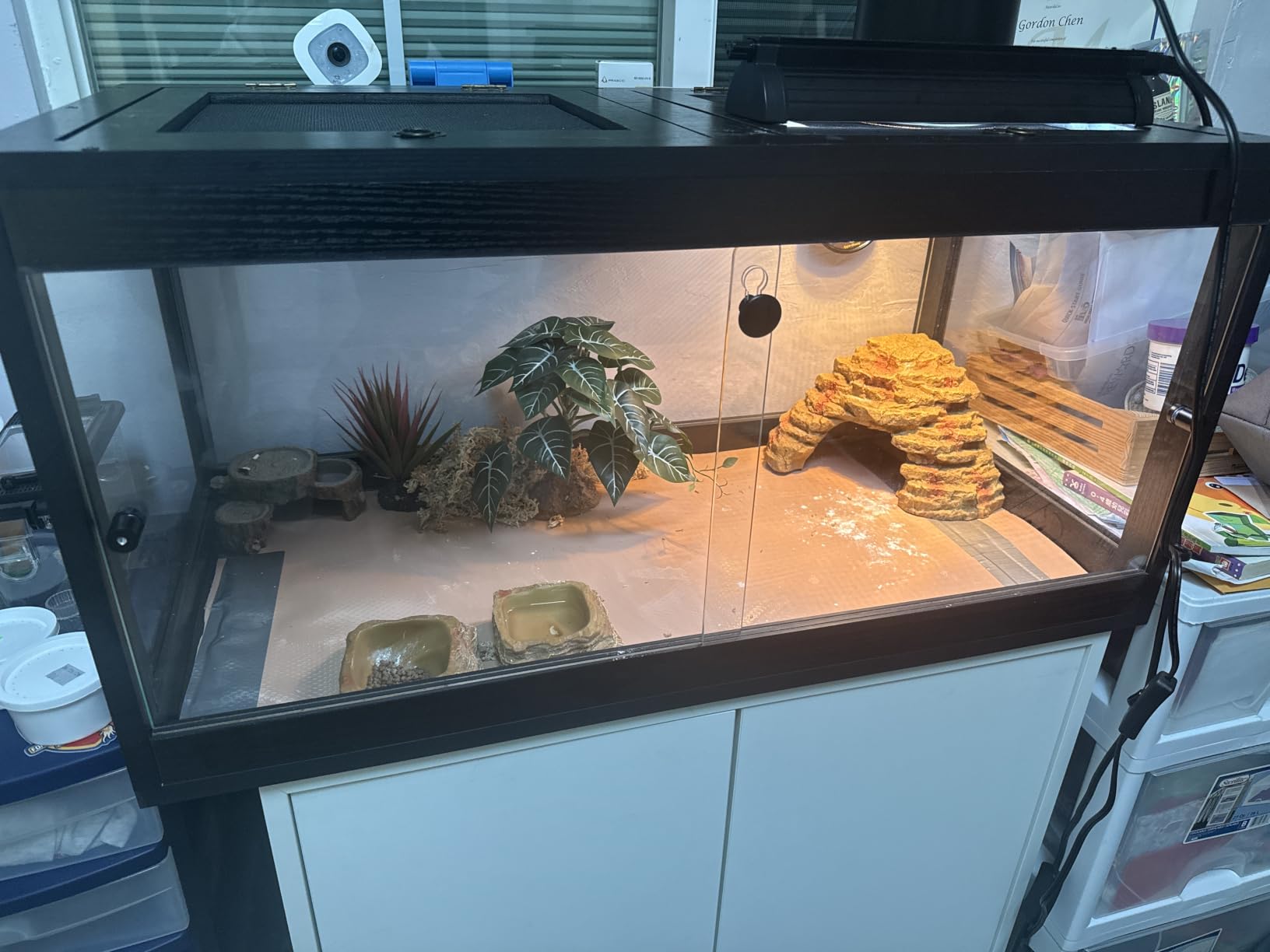 PROLEE 35 Gallon Bearded Dragon Tank, 32 x 16 x 16 Inch Tempered Glass Reptile Enclosure with Metal Mesh Top, Lockable Sliding Front Doors, Large Lizard and Snake Terrarium, Oak customer photo 1