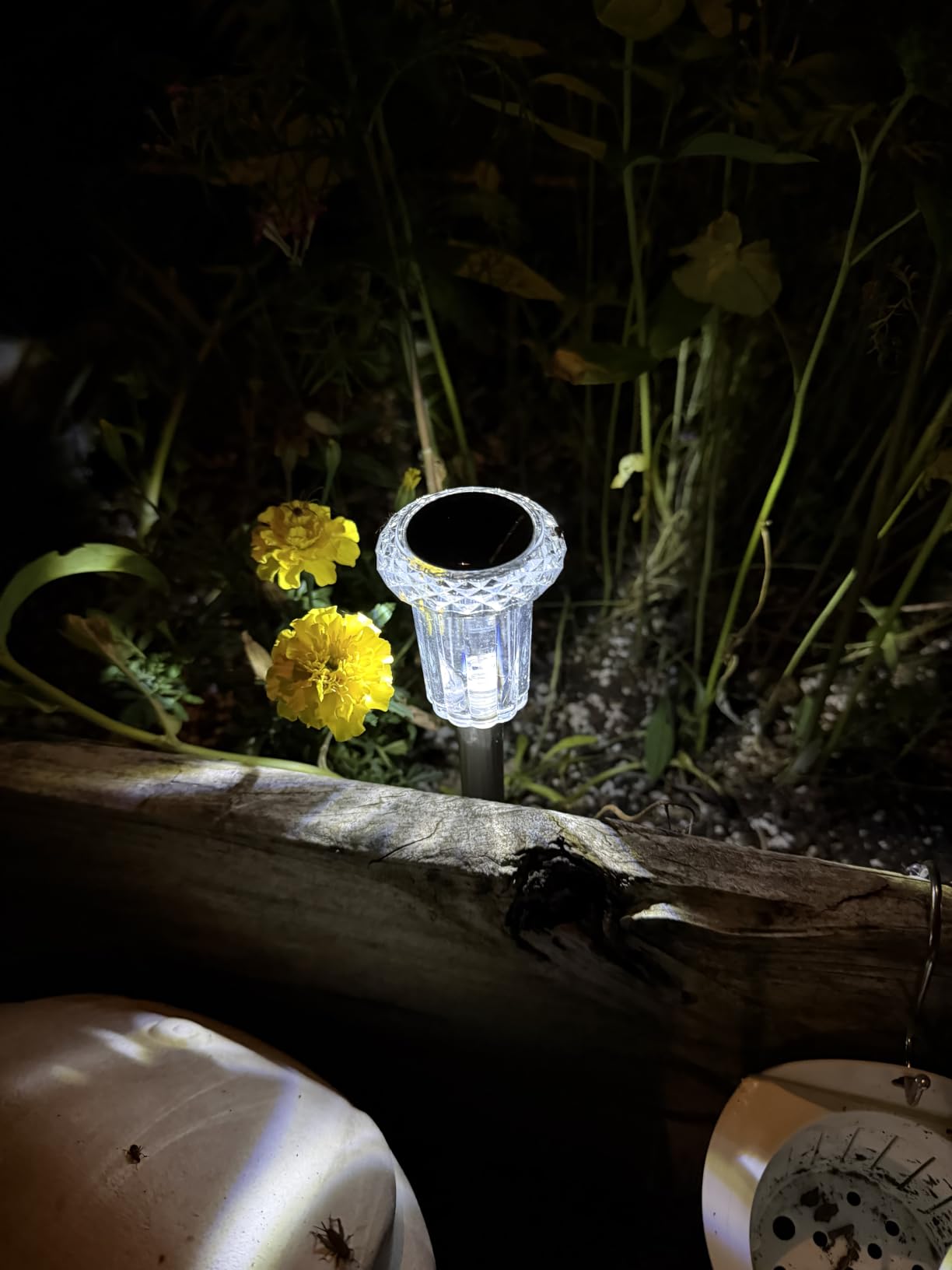 DenicMic Solar Halloween Lights Outdoor Waterproof 10 Pack Halloween Decor customer photo 2