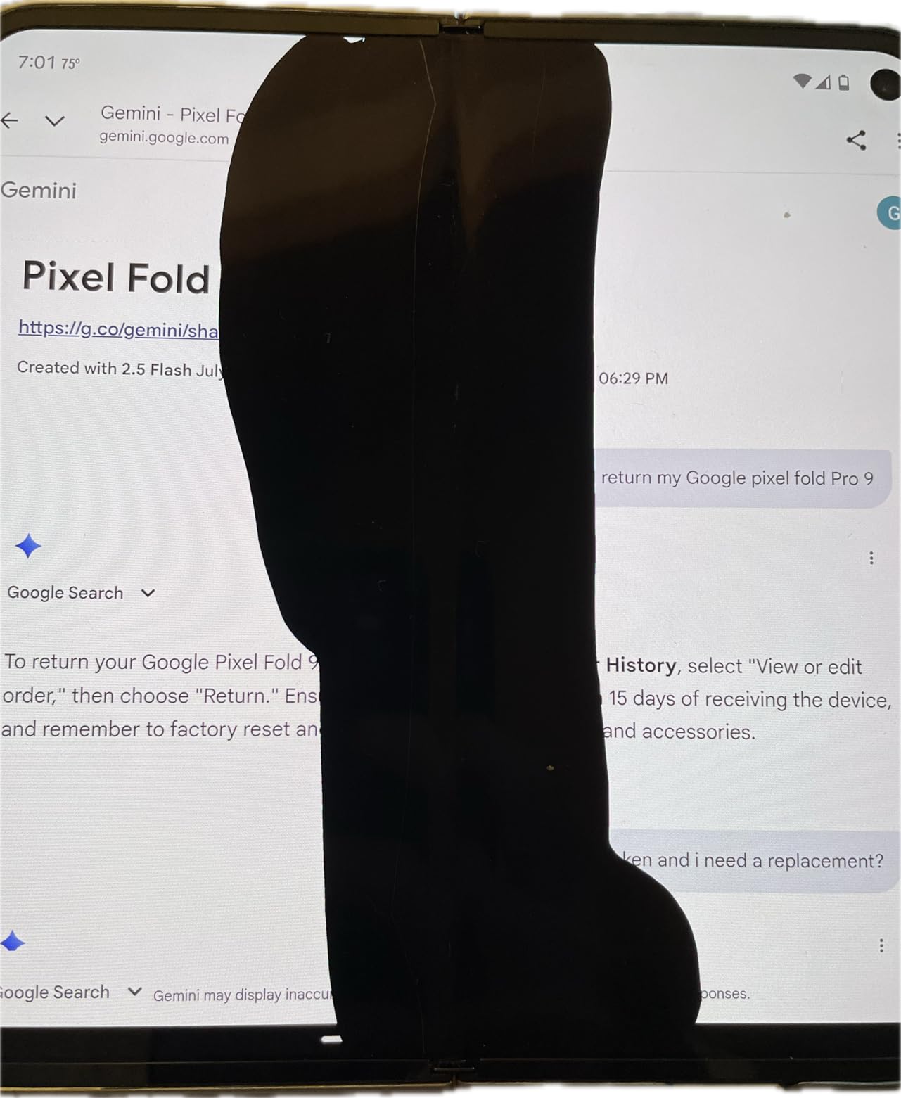 Google Pixel 9 Pro Fold customer photo 1