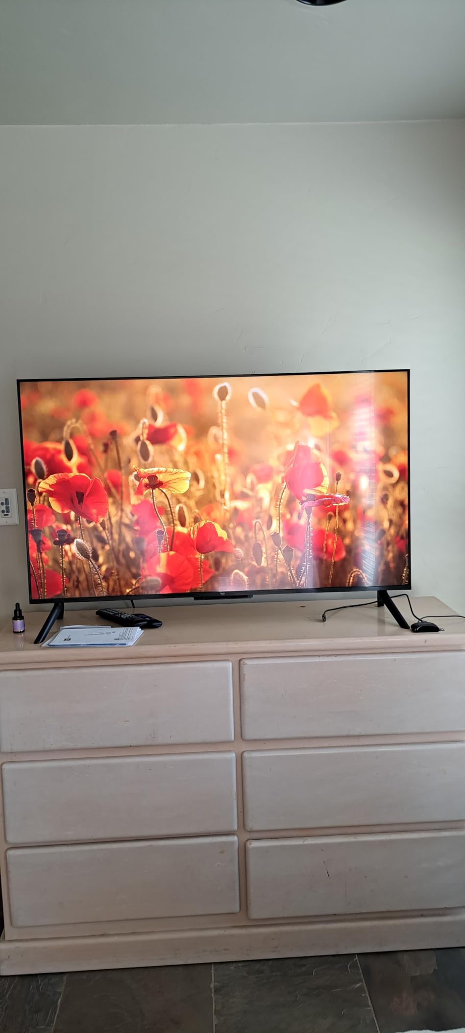 Amazon Ember 43-inch customer photo 1