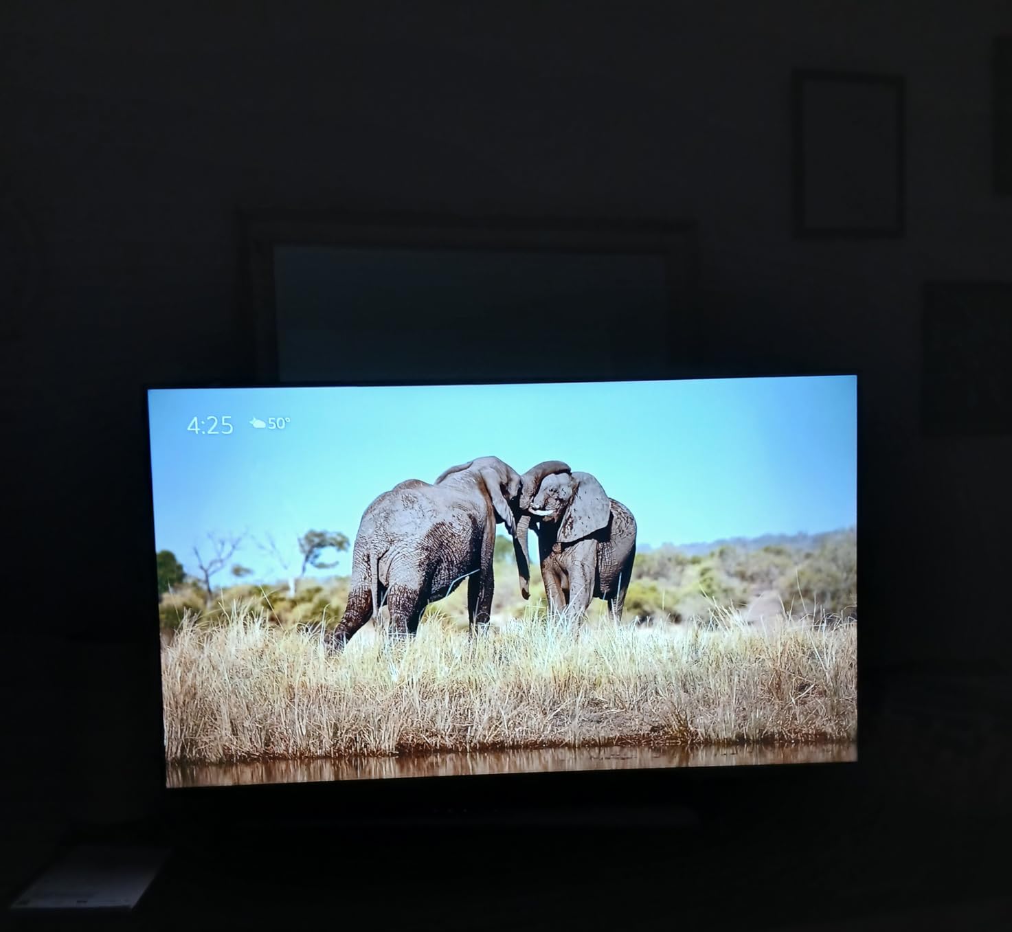 Amazon Ember 43-inch customer photo 2