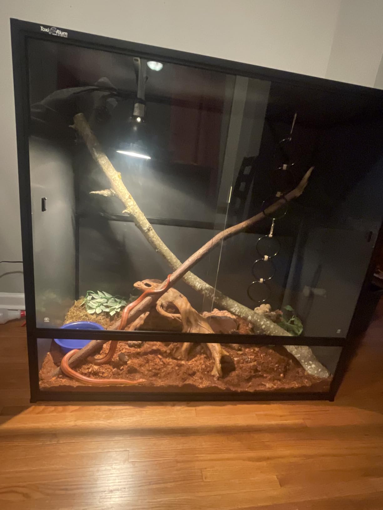 Reptile Tank 120 Gallon, 48