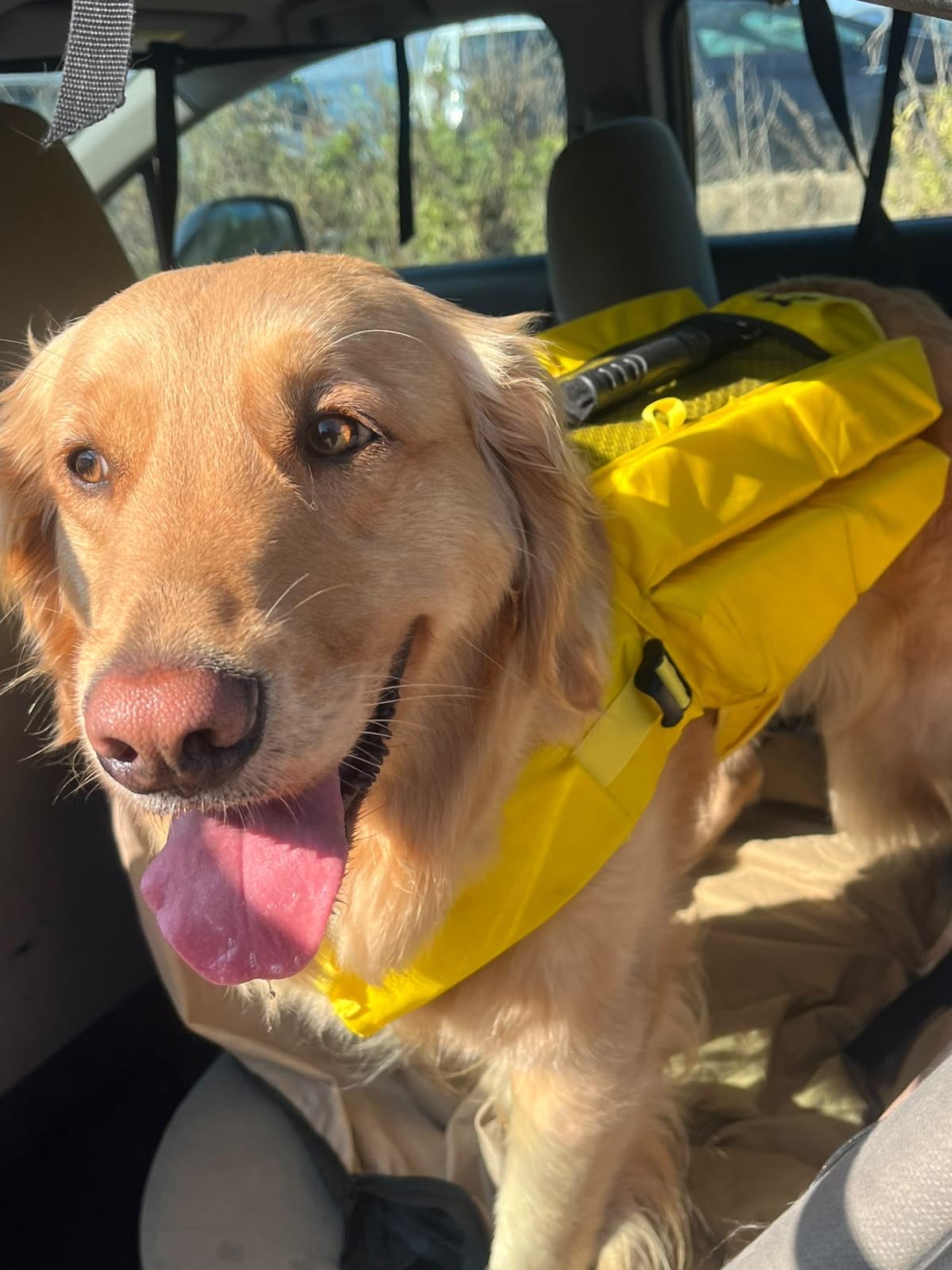 Noah & Paw Dog Life Jacket, 3X Foam Life Vest, Rescue Handle, Small 16-20in customer photo 2