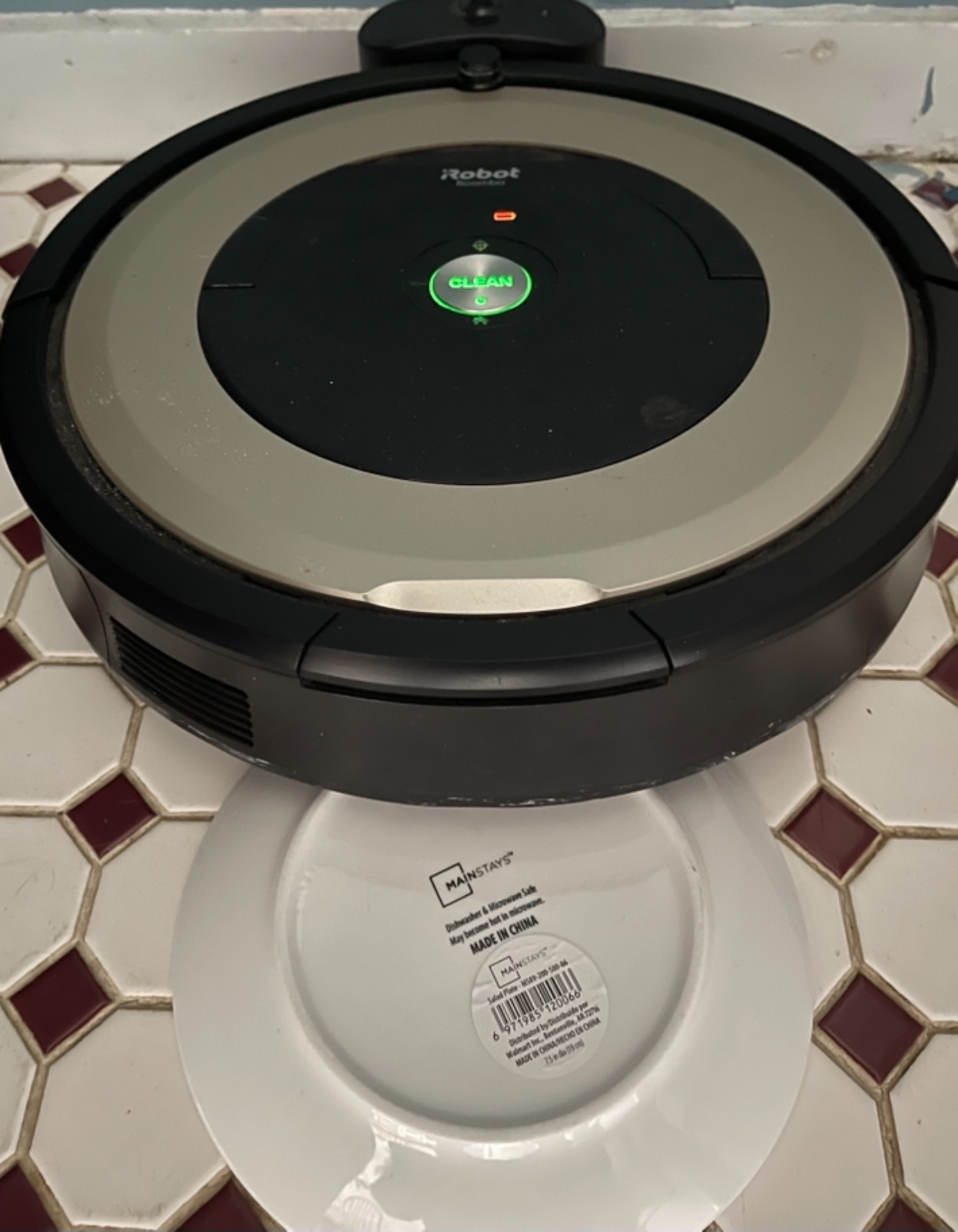 Roomba Plus 405 customer photo 1