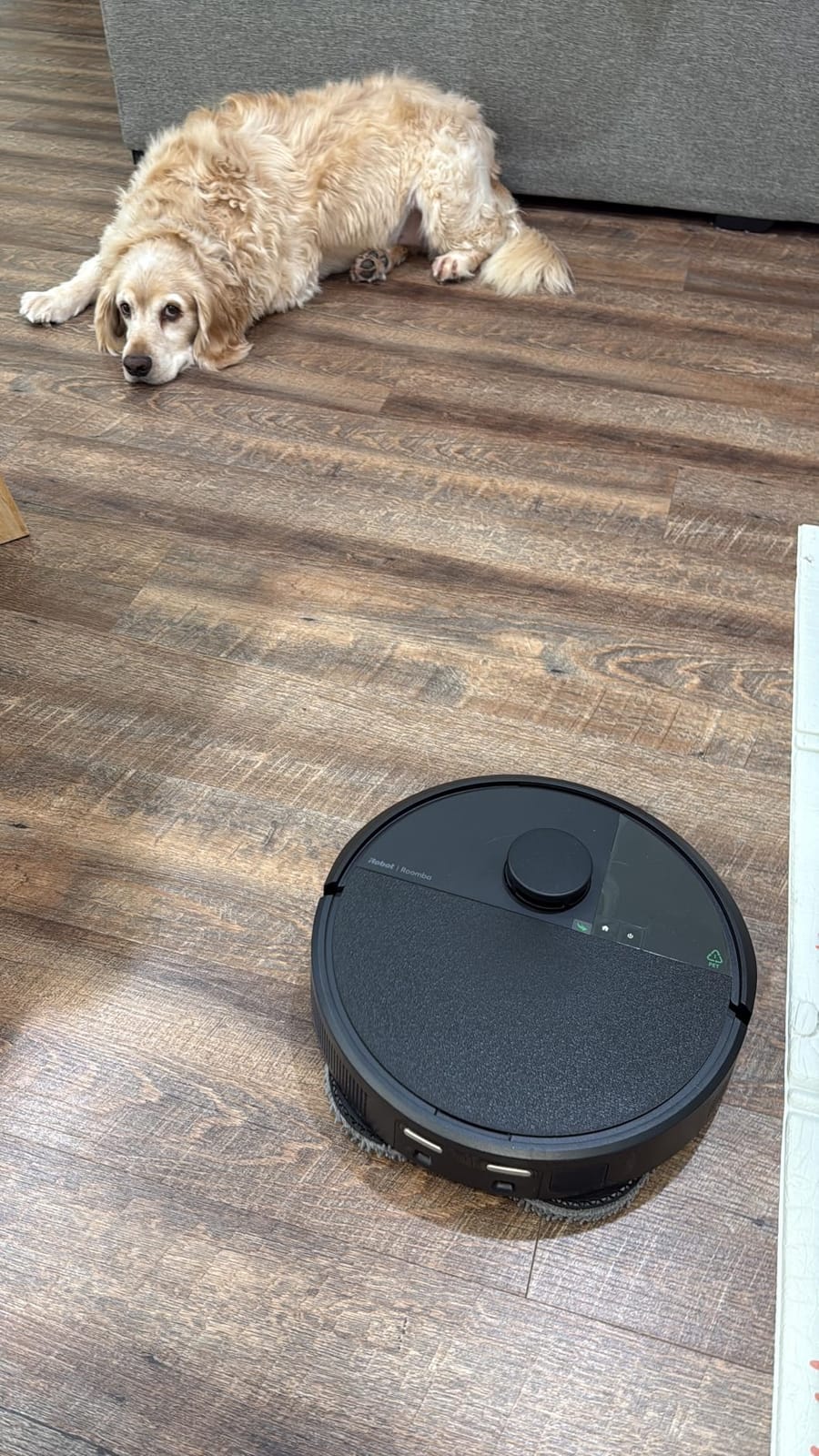 Roomba Plus 405 customer photo 2
