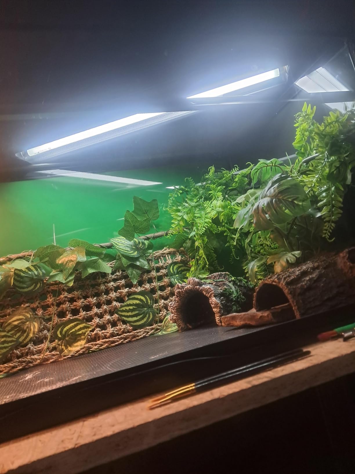 T5 UVB Reptile Light Fixture HO UVB Bulb Lighting Combo Kit, 10.0 UVB Light for Reptiles Terrarium Hood with 8W Reptile Light Bar UVA UVB Desert Lamp for Bearded Dragon Turtle Tank, 12 Inch customer photo 2